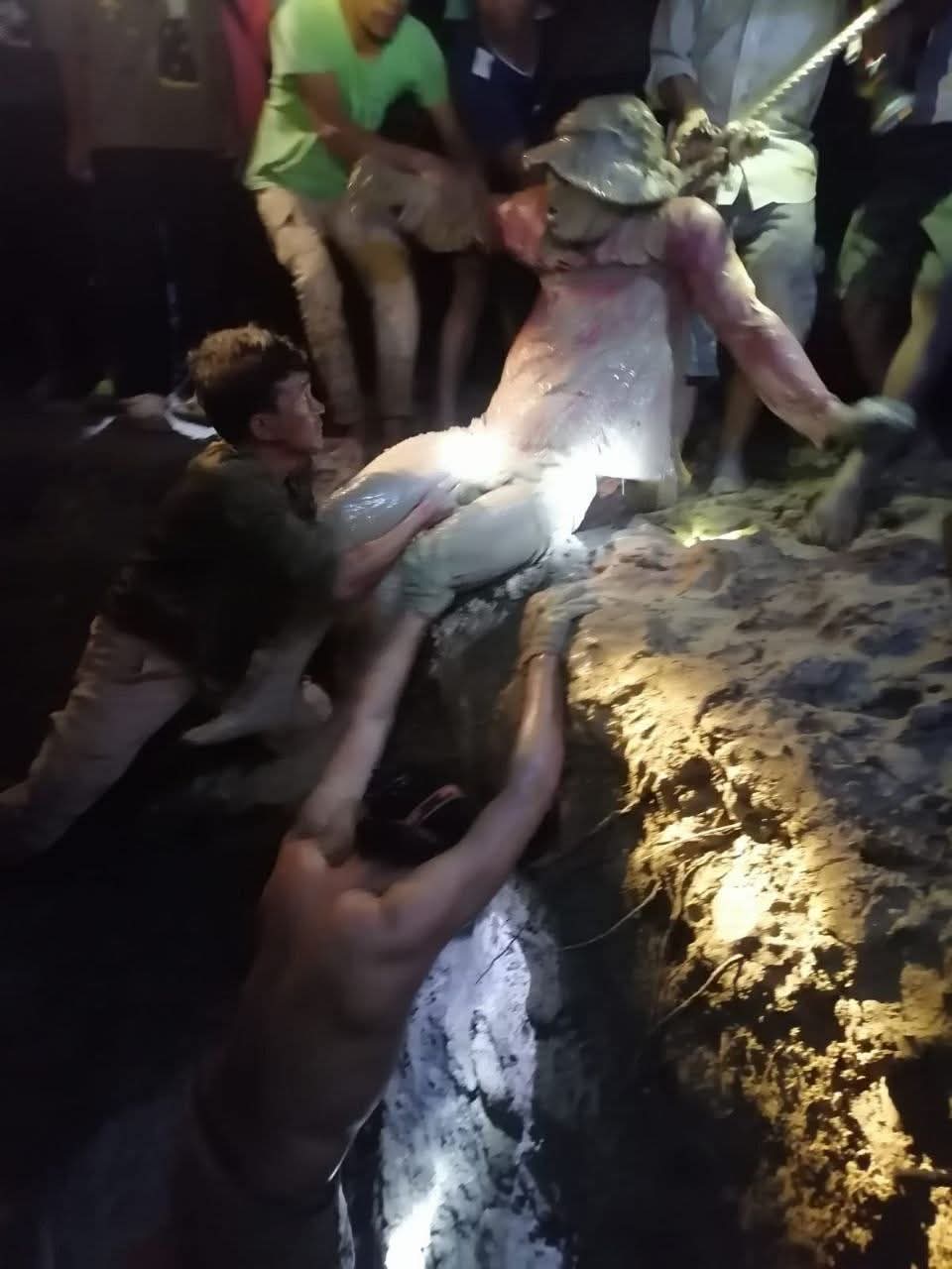 fb img 1758717738791