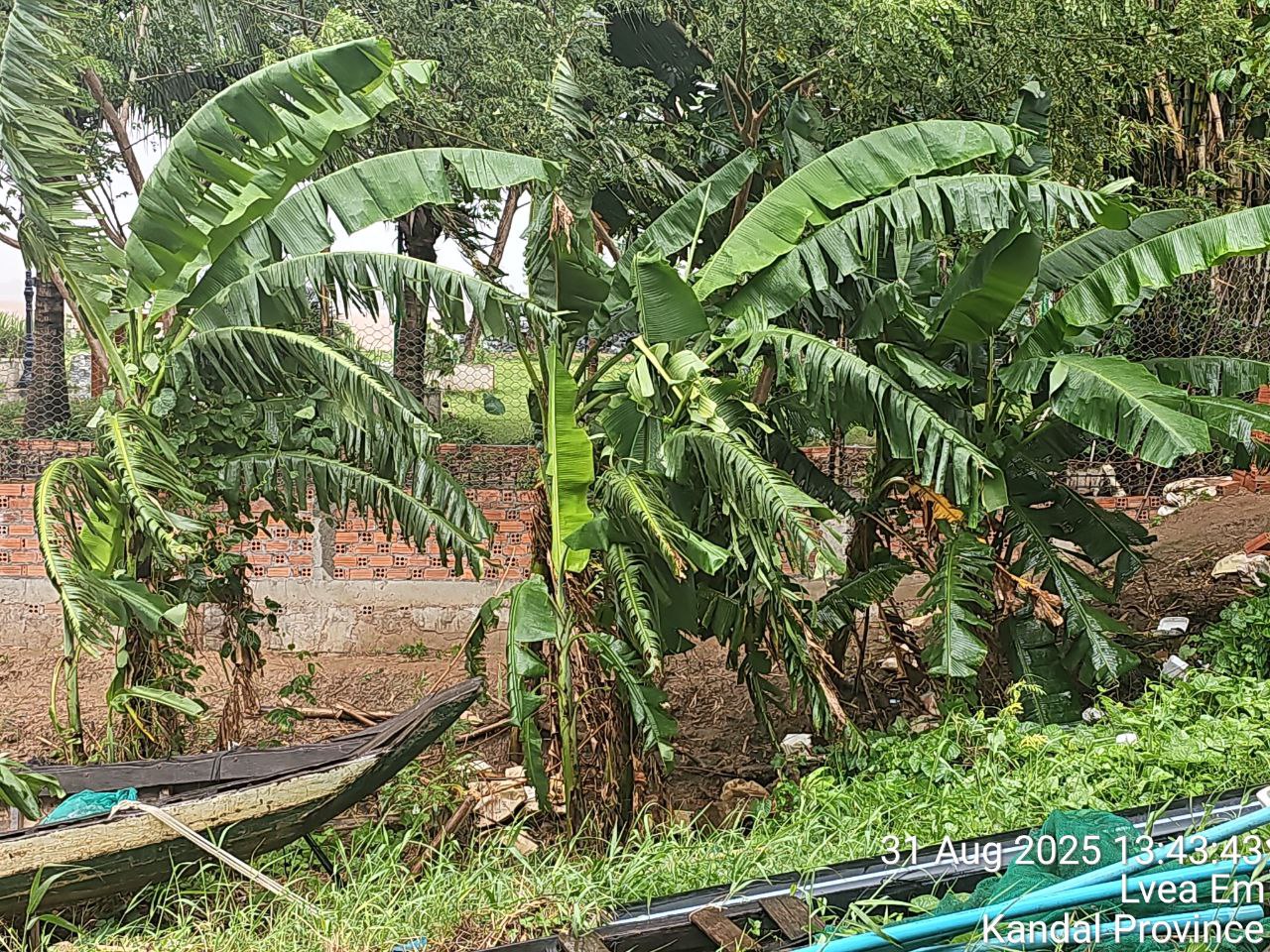 img 20250831 195851 865