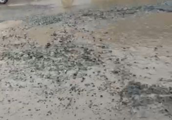 img 20250902 164819 668