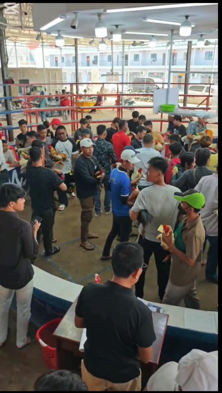 img 20250917 110650 942