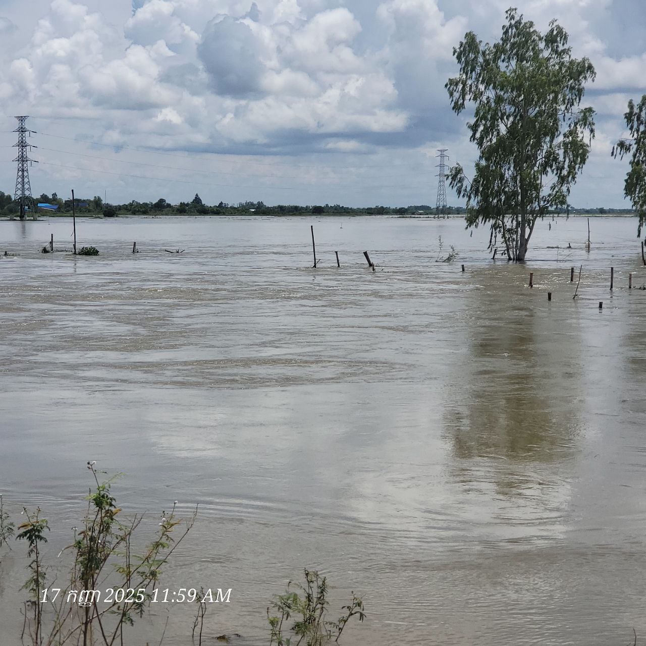 img 20250918 094521 431