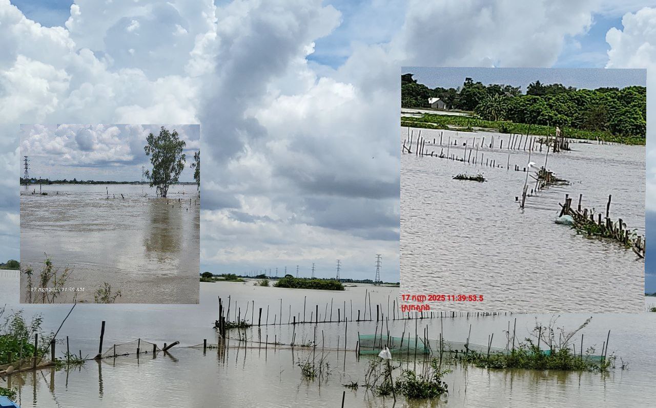 បុរសឈ្មោះ ធិន និងសេង ជាម្ចាស់របាំងស្បៃ,ព្រួលនេសាទខុសច្បាប់ នៅចំណុចព្រែកគ្រួស ឃុំព្រែកអំបិល ស្រុកស្អាង