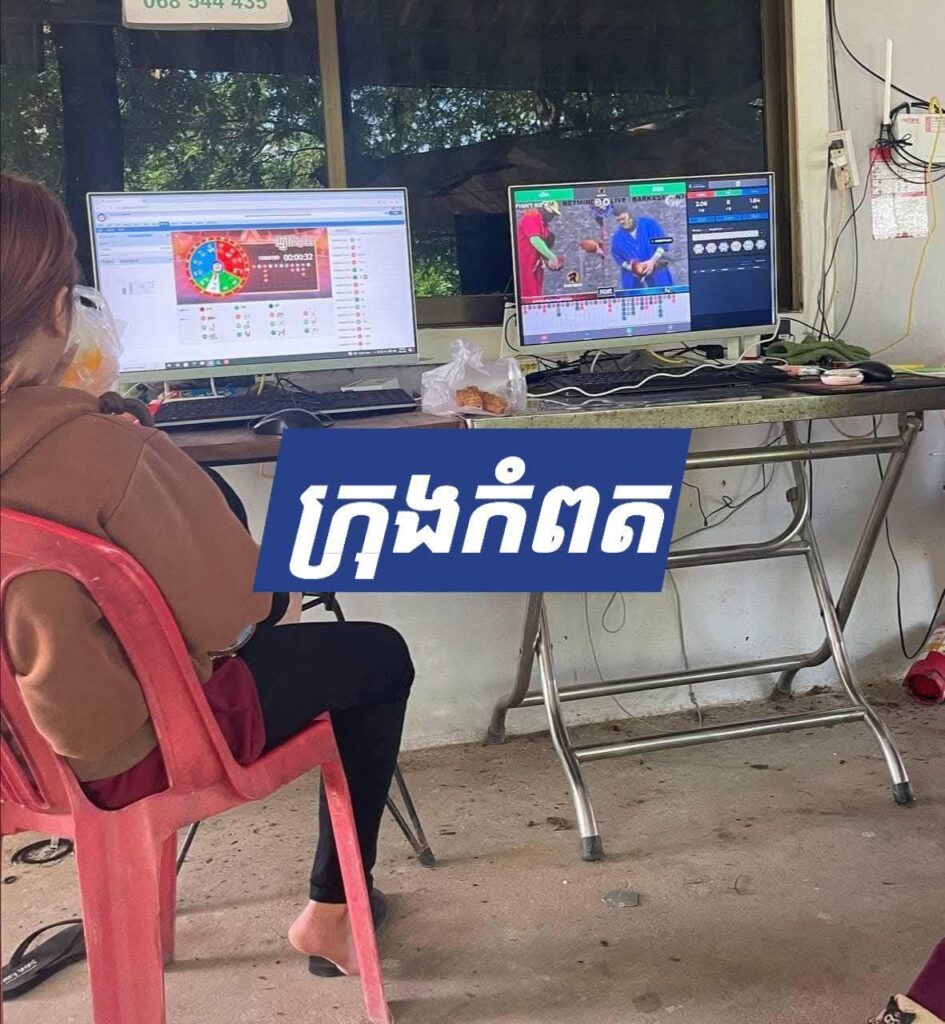 ជល់មាន់ Online គំរាមកំហែងសន្តិសុខ នៅក្រុងកំពតខណៈអាជ្ញាធរមានសមត្ថកិច្ចស្ងាត់ស្ងៀម