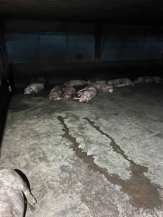 fb img 1763081714435