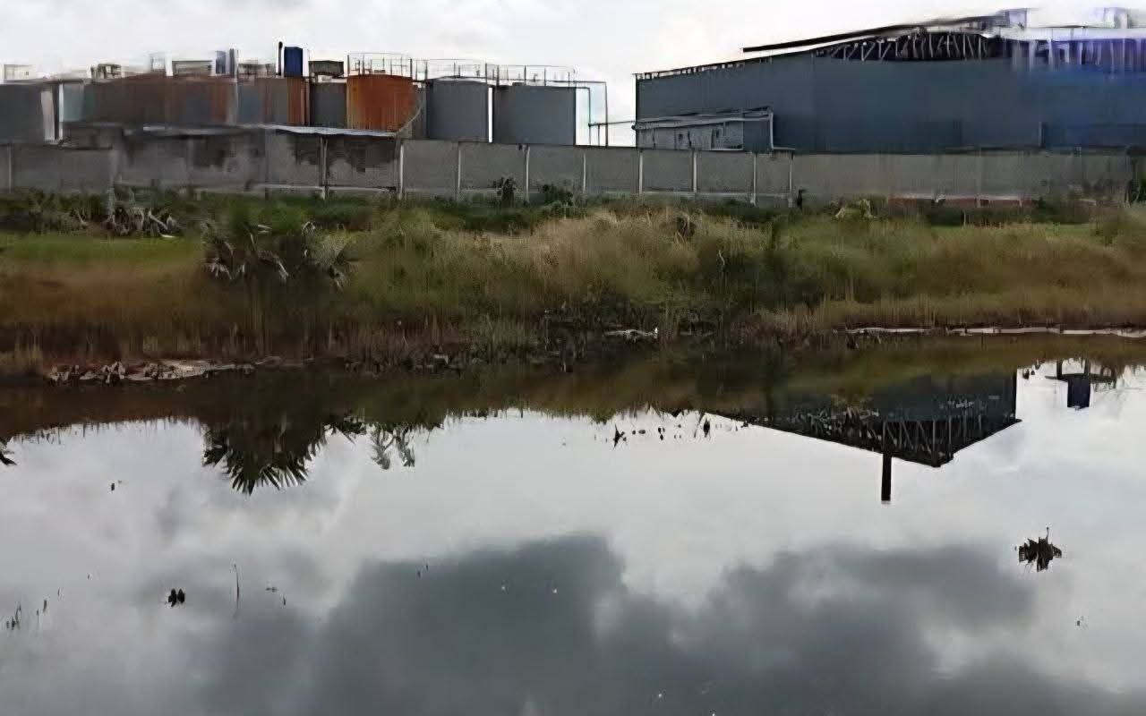img 20251130 122306 056