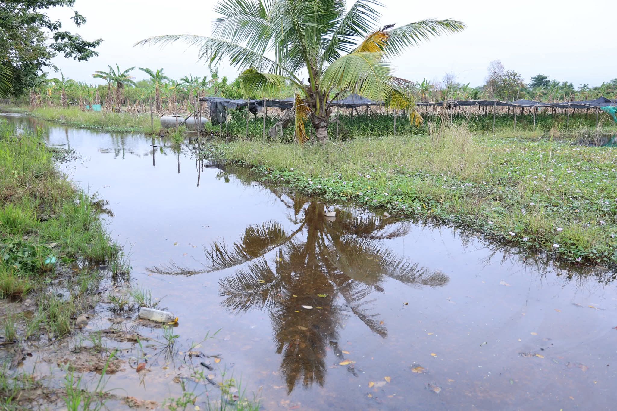 fb img 1764858487812