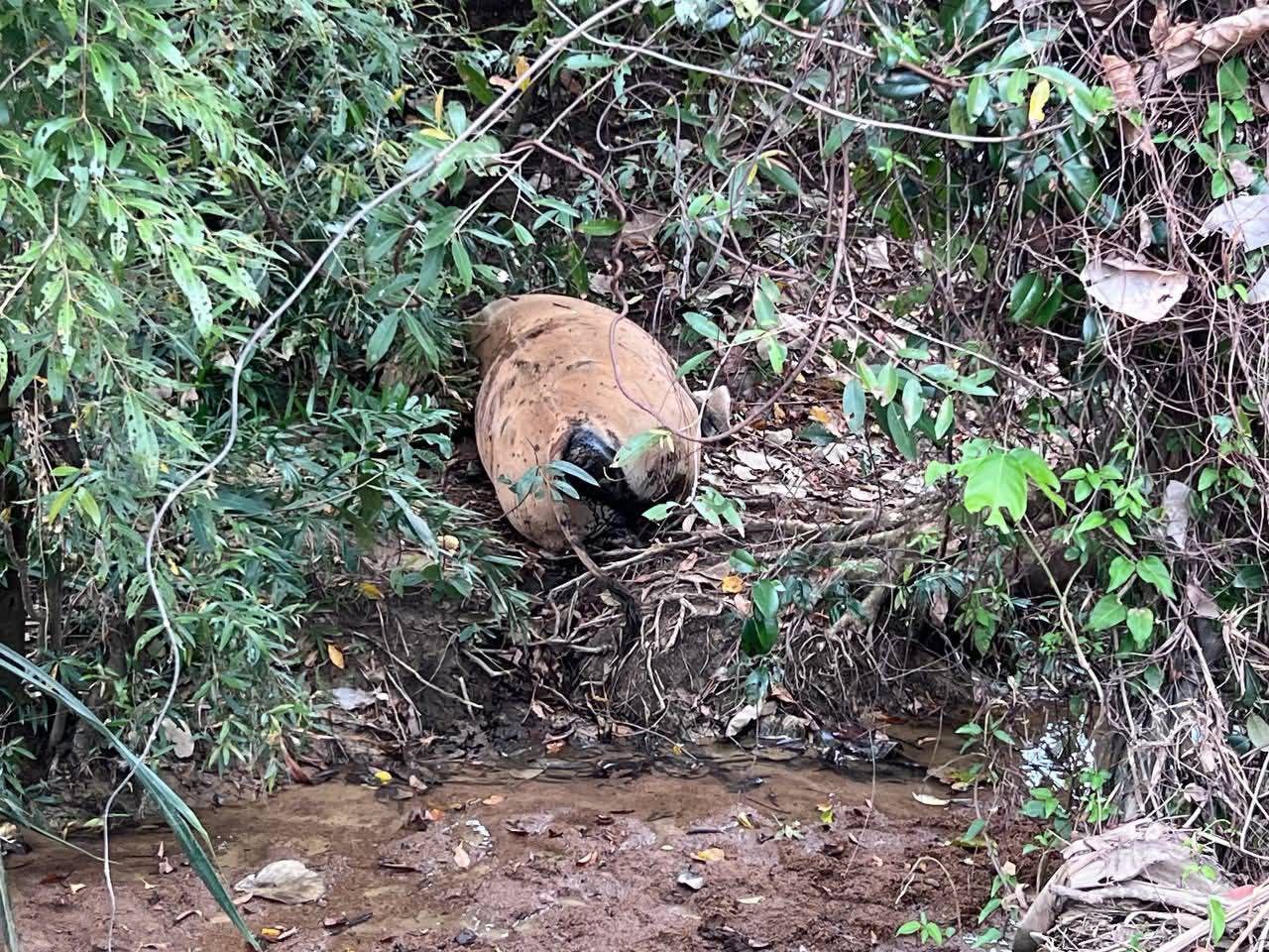 img 20251205 081942 166