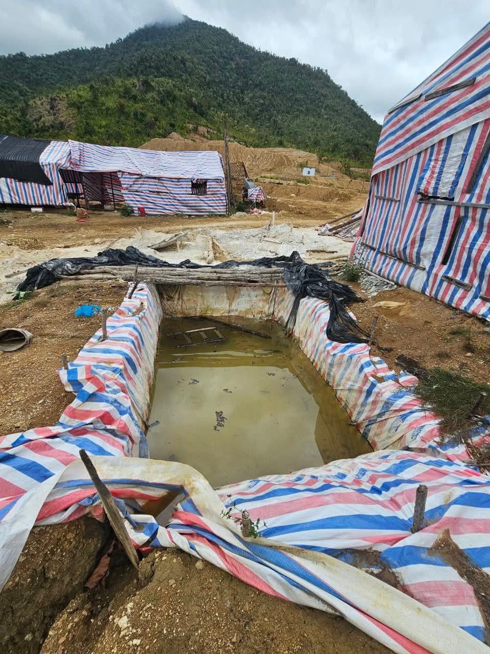 img 20251205 081942 176