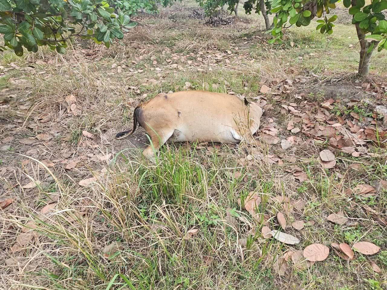 img 20251205 081942 202