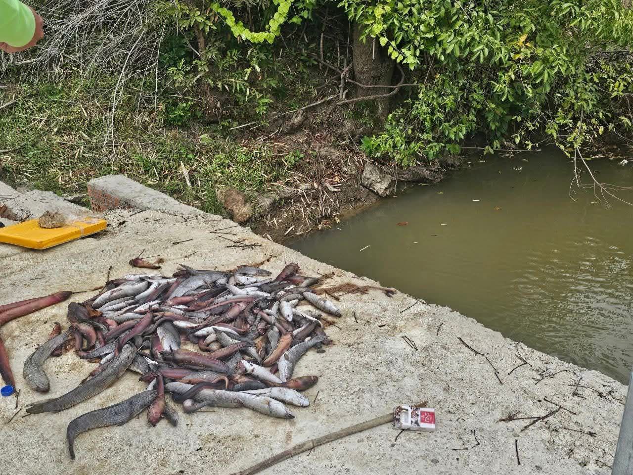 img 20251205 081942 237