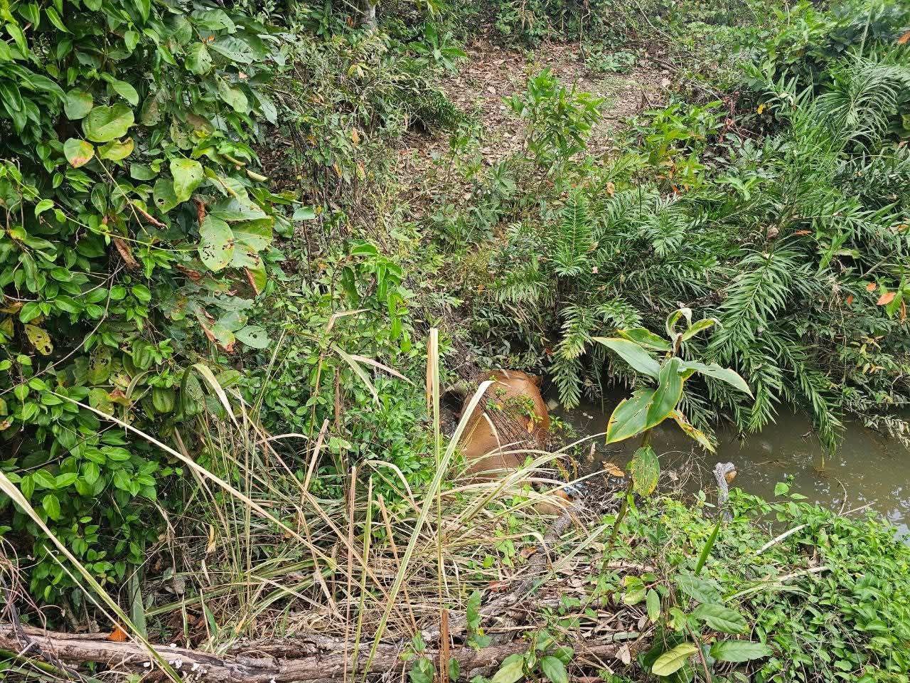 img 20251205 081942 461