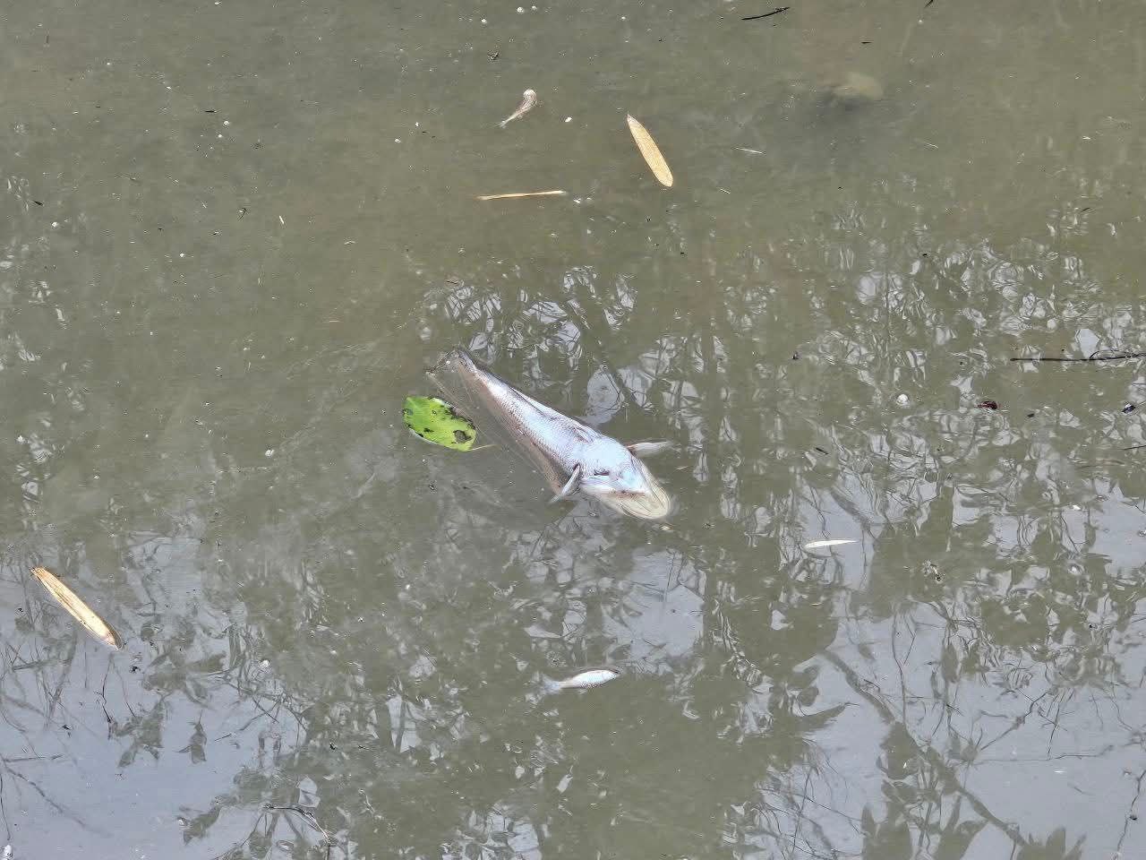 img 20251205 081942 976