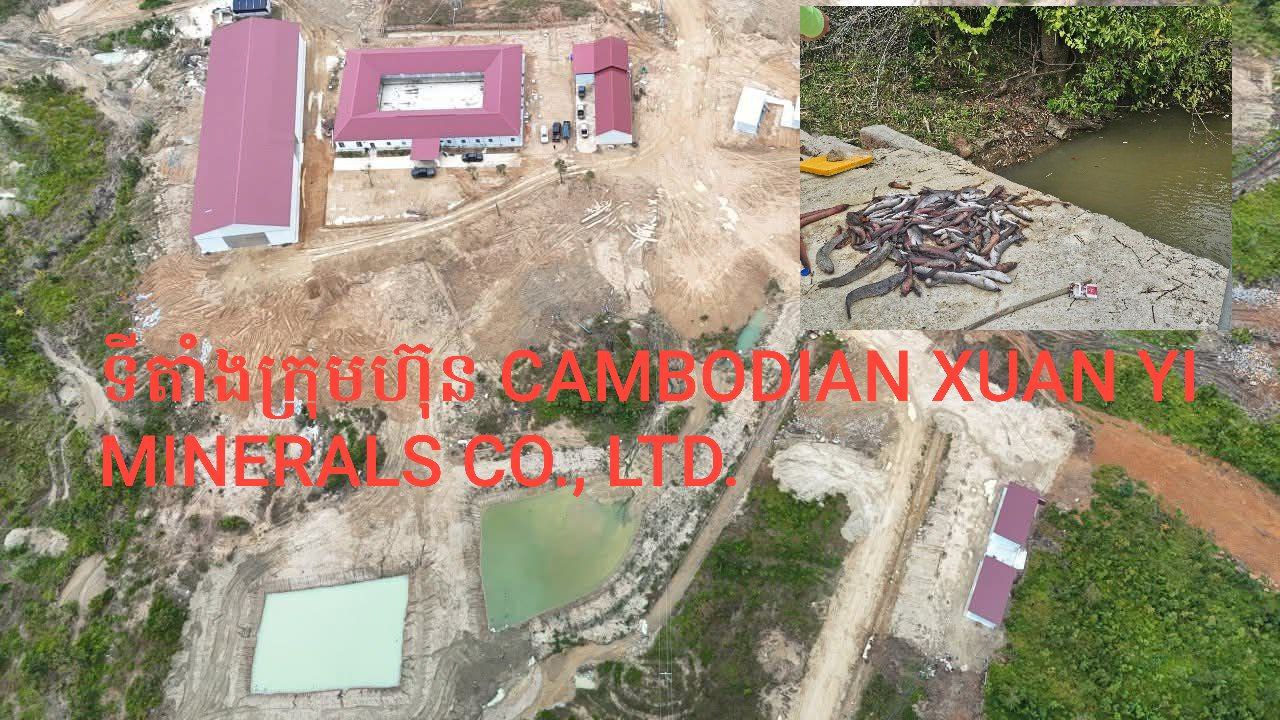 សមត្ថកិច្ចកំពុងពិនិត្យតាំងក្រុមហ៊ុន CAMBODIAN XUAN YI MINERALS CO., LTD. នៅពេលមានករណីមានត្រីនិងគោងាប់ នៅតំបន់អូរឬស្សីក្នុងស្រុកទឹកផុស