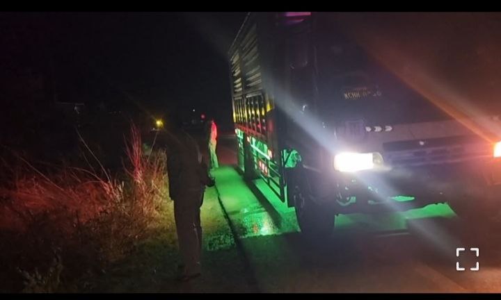 img 20251217 102024 711