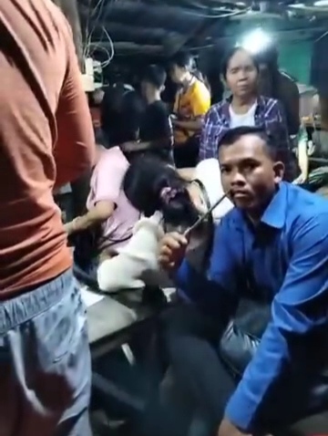 videocapture 20260117 132526