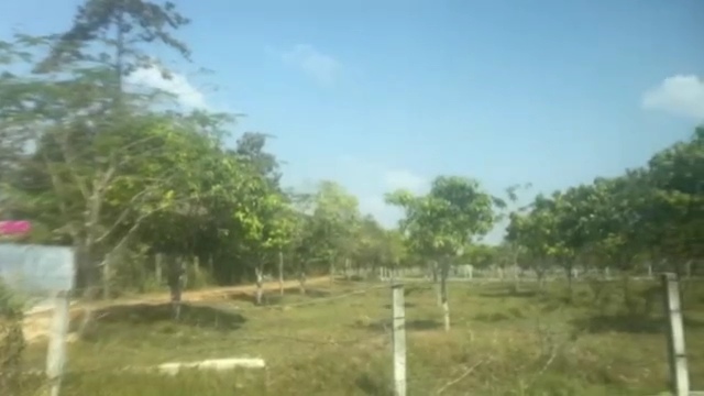 videocapture 20260127 122825