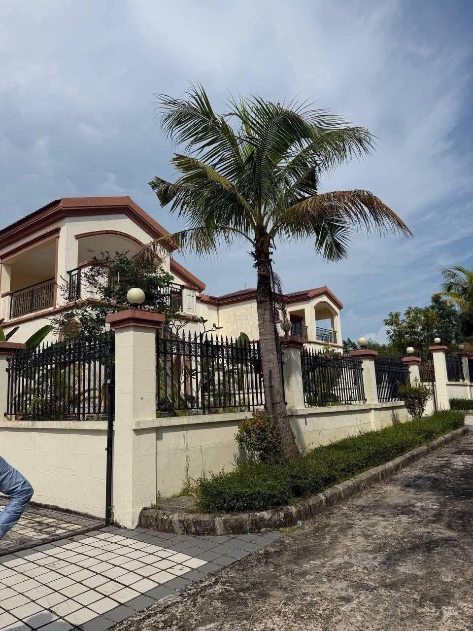 img 20260310 082234 091