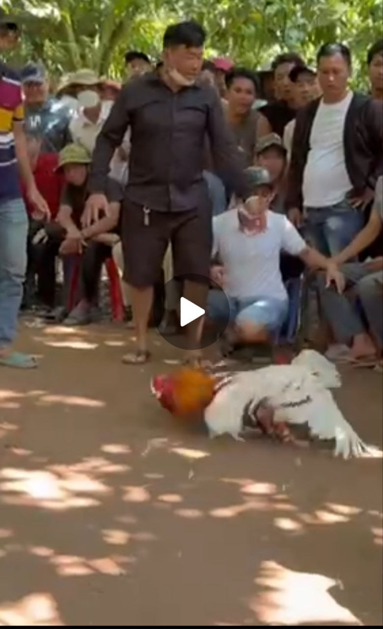 img 20260311 071551 157