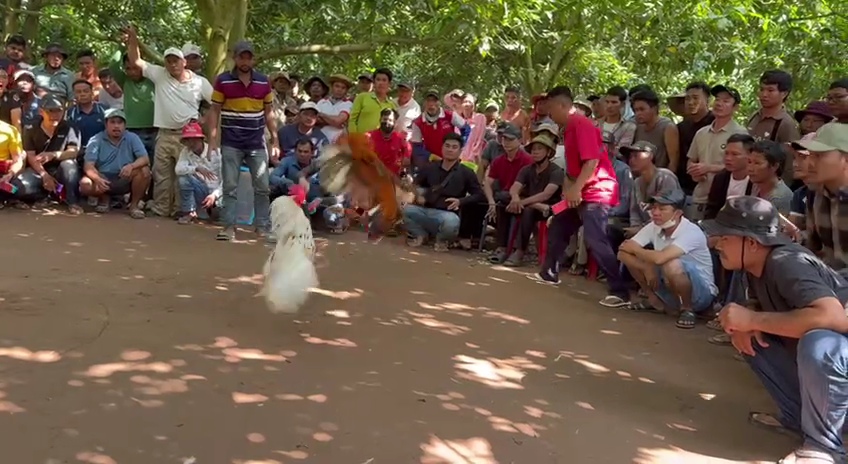 videocapture 20260311 071613