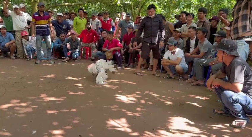 videocapture 20260311 071618