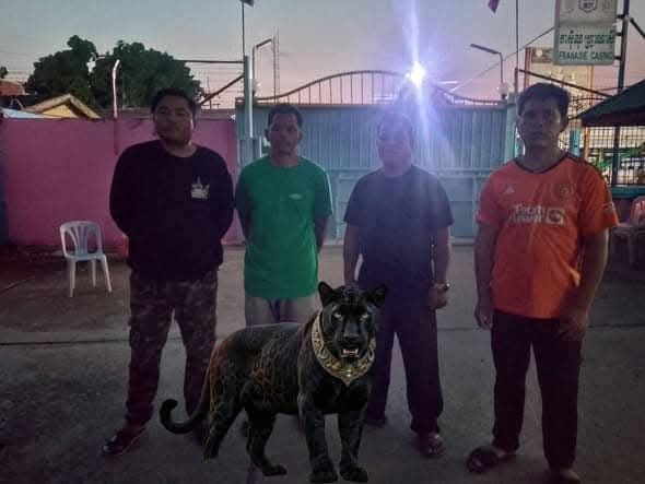 img 20260409 152253 778