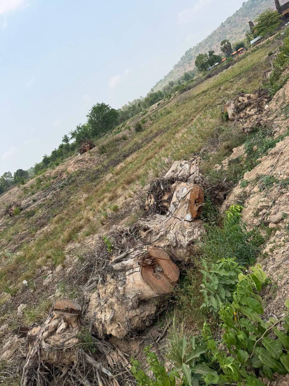 img 20260418 183520 565