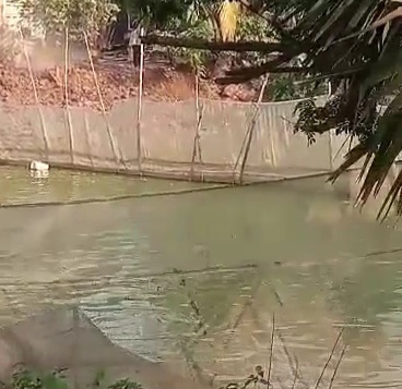 videocapture 20260404 111442