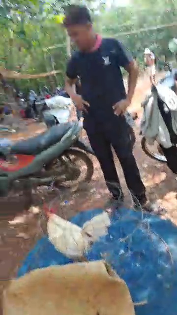 videocapture 20260504 112534