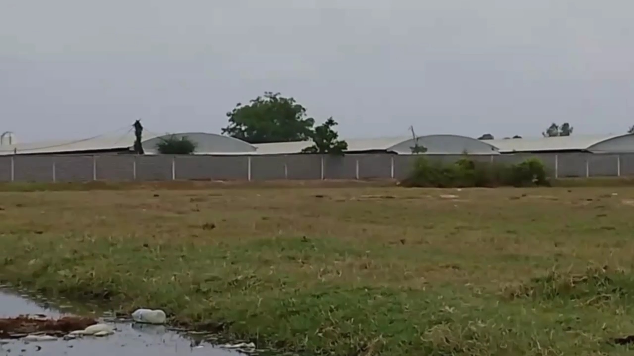 videocapture 20260512 182328