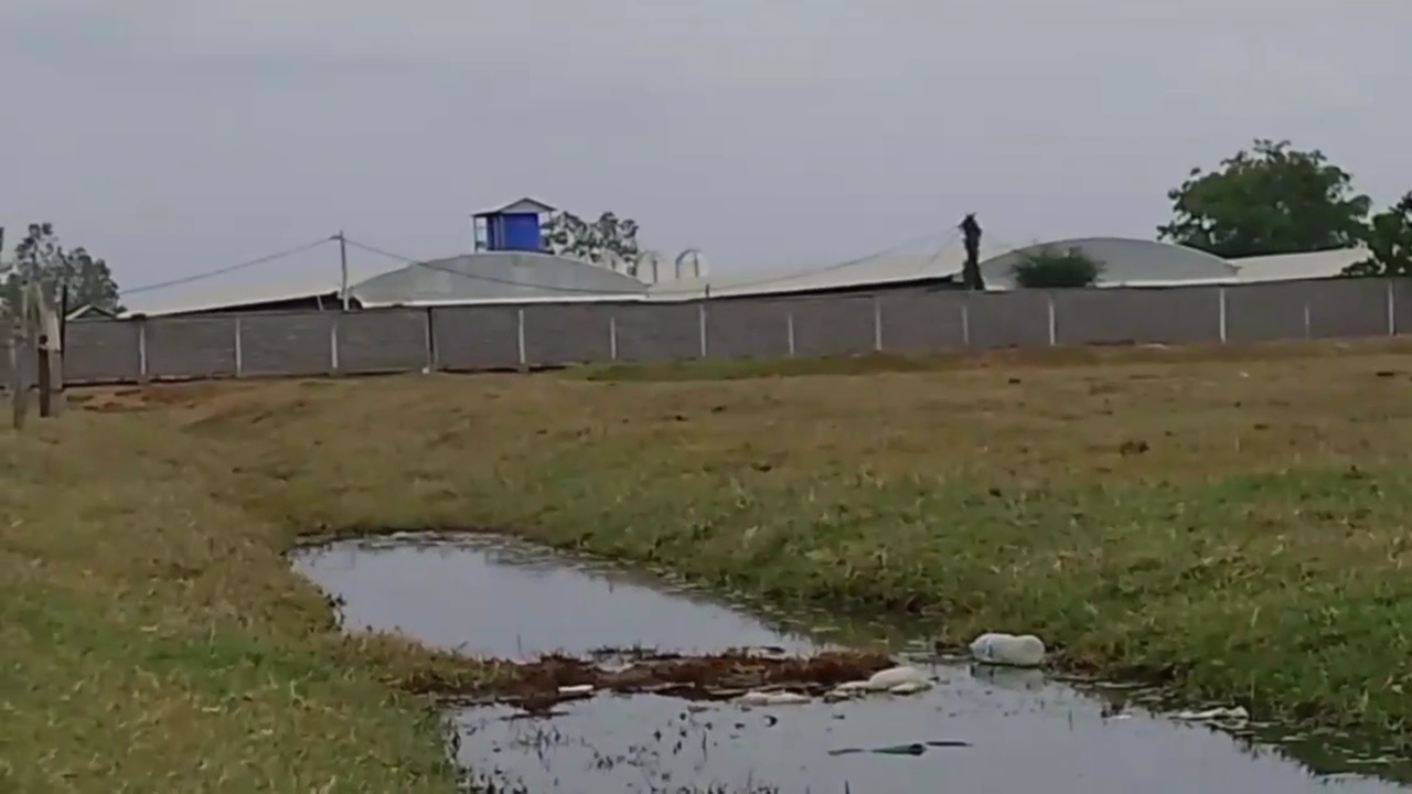 videocapture 20260512 182333