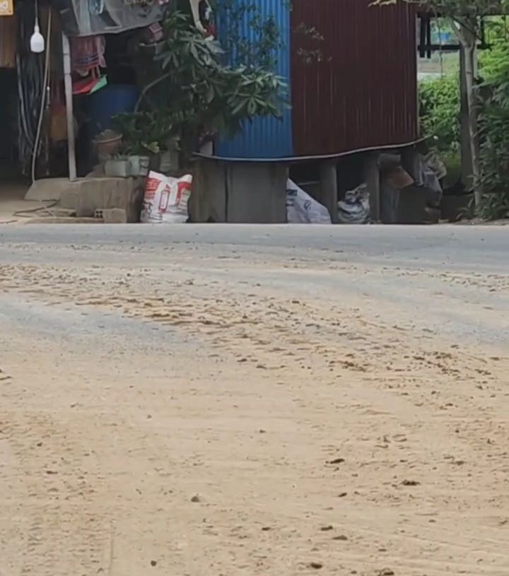 videocapture 20260622 112104