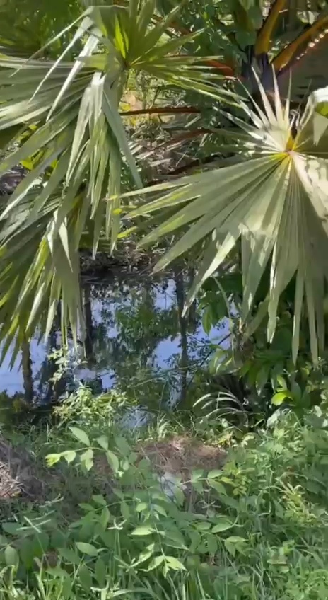 videocapture 20260713 171503